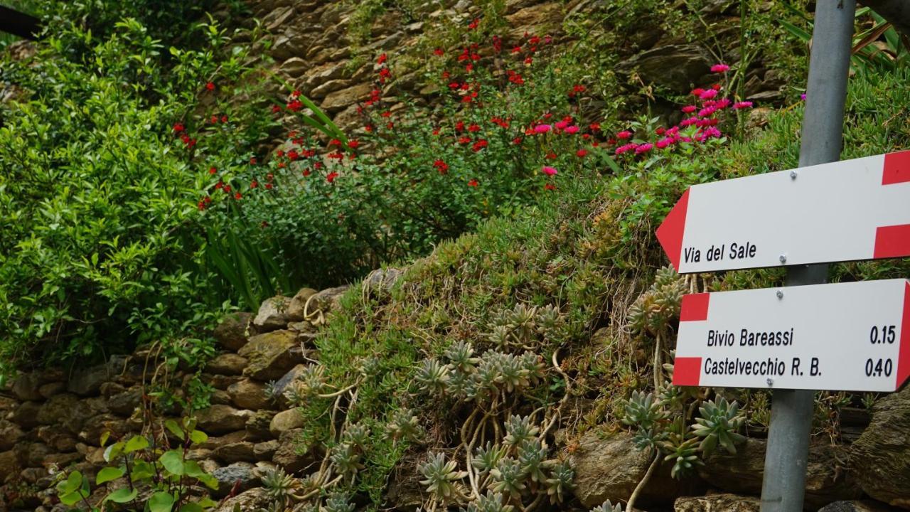 La Libellula Rossa Bed & Breakfast Erli Eksteriør bilde